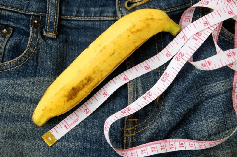 Length of the penis