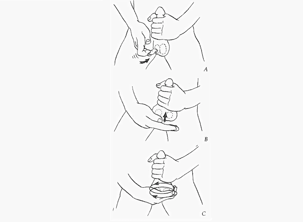 massage for penis enlargement